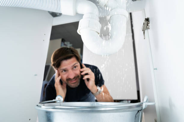 Best Sprinkler Systems  in Jackson, MN